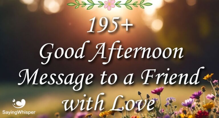 195+ Good Afternoon Message to a Friend with Love