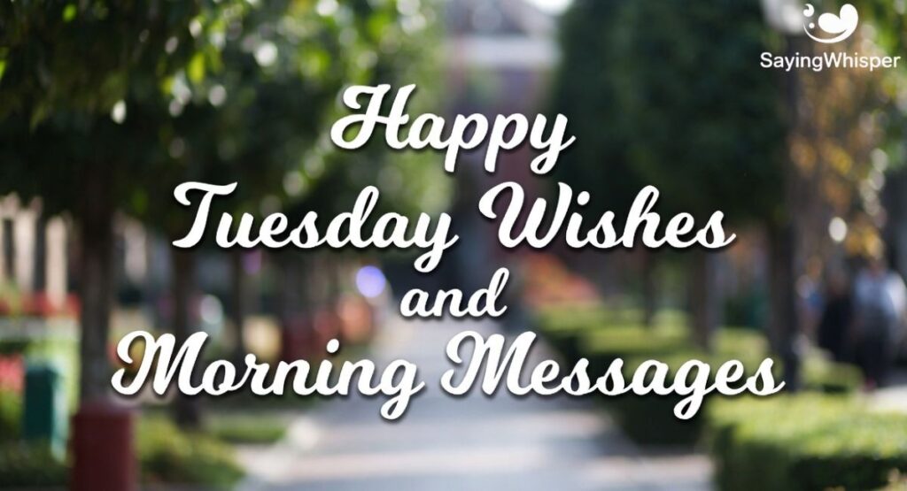 Happy Tuesday Wishes and Morning Messages

