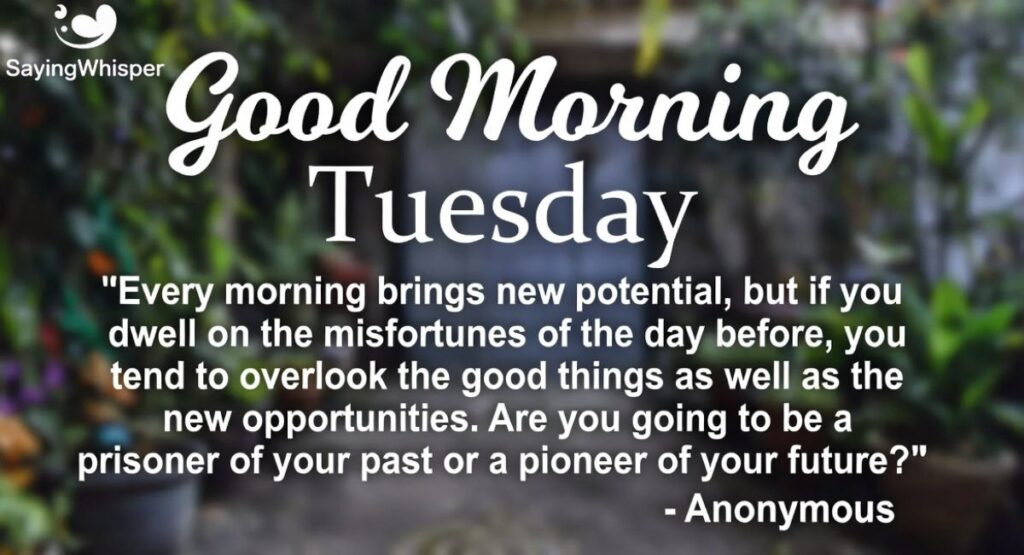 Good Morning Tuesday Quotes for Positive Vibes