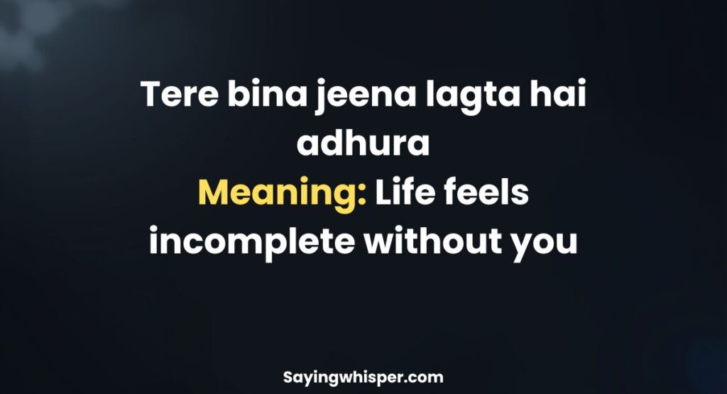 Life Sad Shayari in Hinglish with Meaning