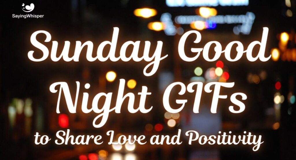 Sunday Good Night GIFs to Share Love and Positivity
