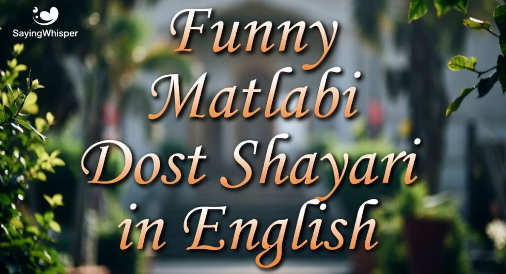 Funny Matlabi Dost Shayari in English