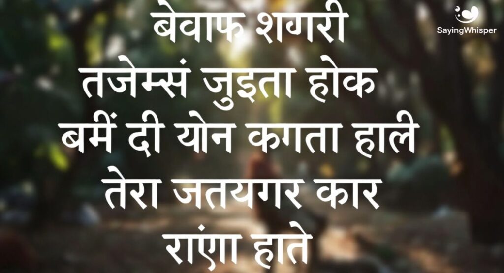 2 Line Bewafa Shayari