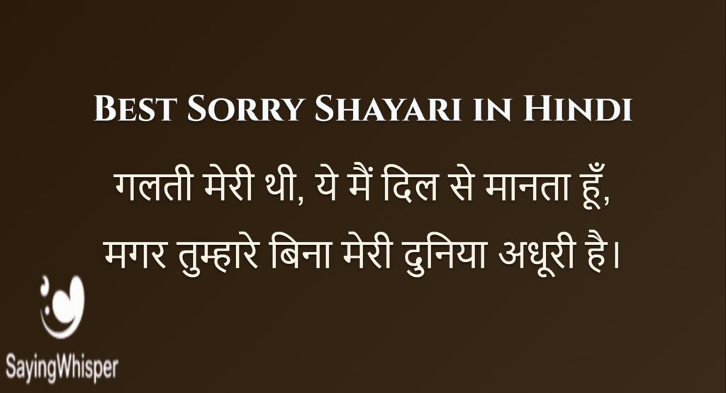 I am Sorry Shayari in Hindi छमा याचना शायरी