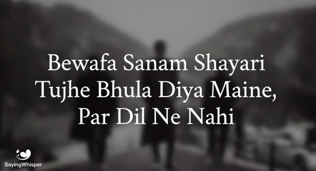 Bewafa Sanam Shayari