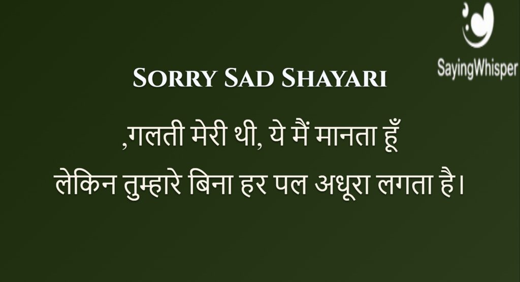 Sorry Sad Shayari