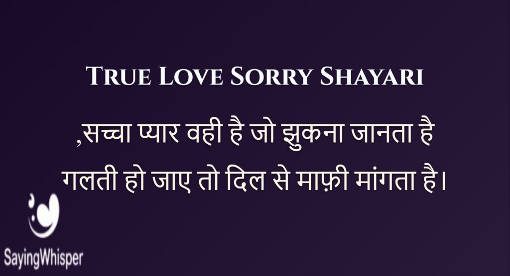 True Love Sorry Shayari