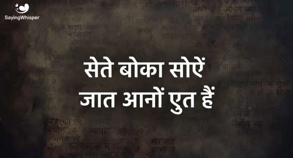 दिल तोड़ दिया तूने बेवफा शायरी