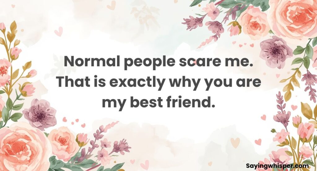 Crazy and Funny Best Friend Quotes