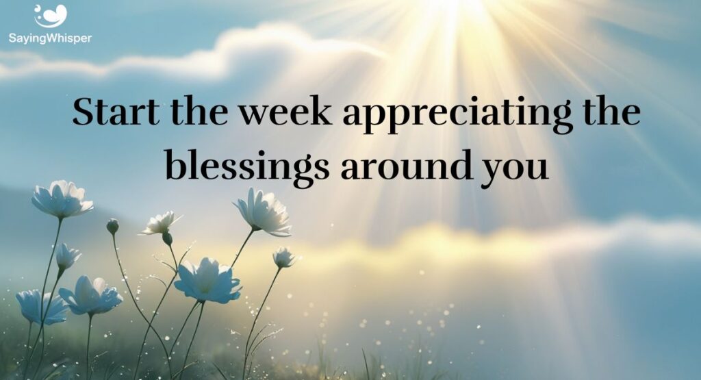 Fresh Monday Morning Blessings to Start with Gratitude