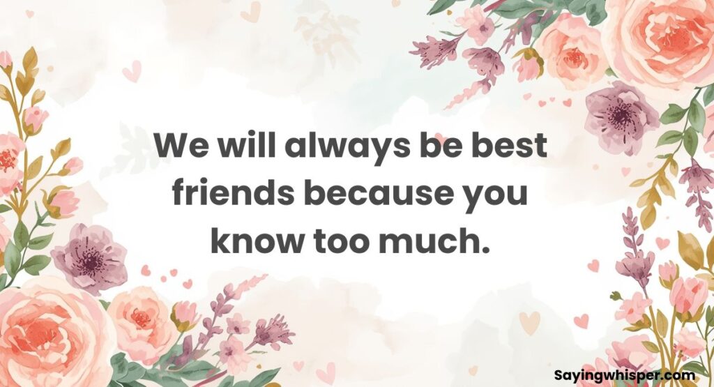 Funny Friendship Quotes for Best Friends