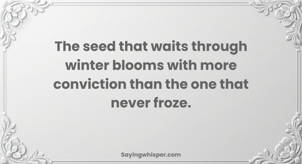 Old Is Gold Wisdom About Patience and Life Understanding